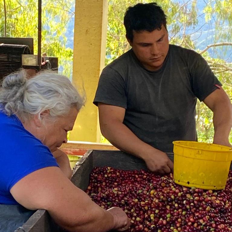 Los Andes farm coffee processing Jesus and mom