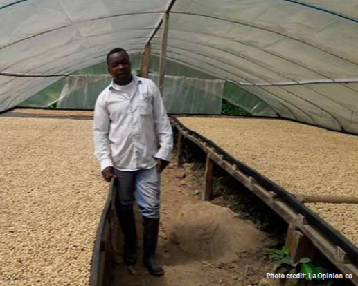 El Roble Farm Domingo Torres coffee overview 3