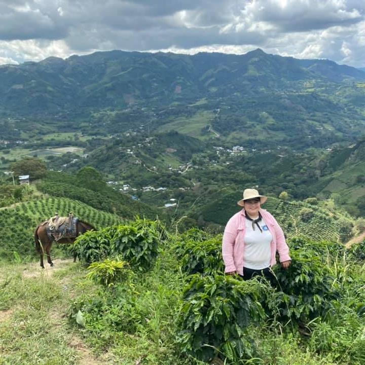 Los Andes farm Aregenys Coffee Farm View 2