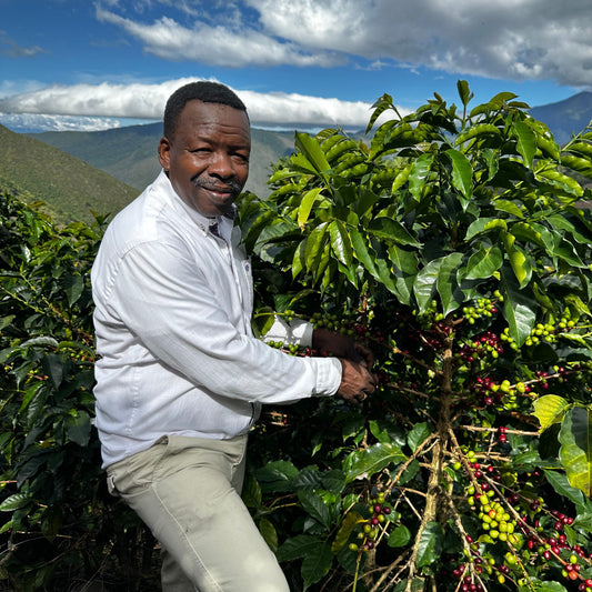 el roble coffee farm Domingo Torres 1