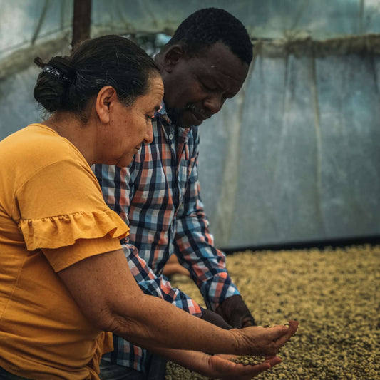 el roble coffee farm Domingo Torres y Saray Torres 2