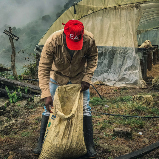 El Roble Coffee Farm Domingo Torres bag 4